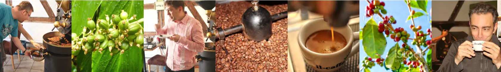 Eindrücke aus der Kaffeerösterei caffehaus Rückersdorf. Kunden beim Ablassen gerösteter Kaffeebohnen, unreife Kaffeekirschen am Strauch, Espresso Abkühlen, sowie Zubereitung und Verkostung